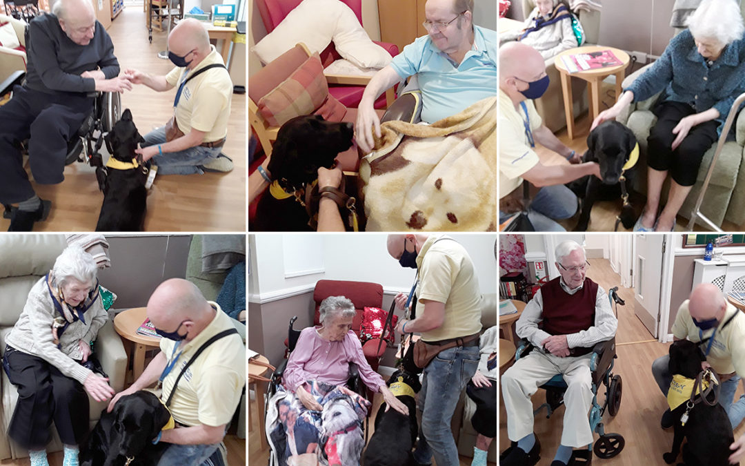 Welcoming back Susie and Steve to Meyer House Care Home