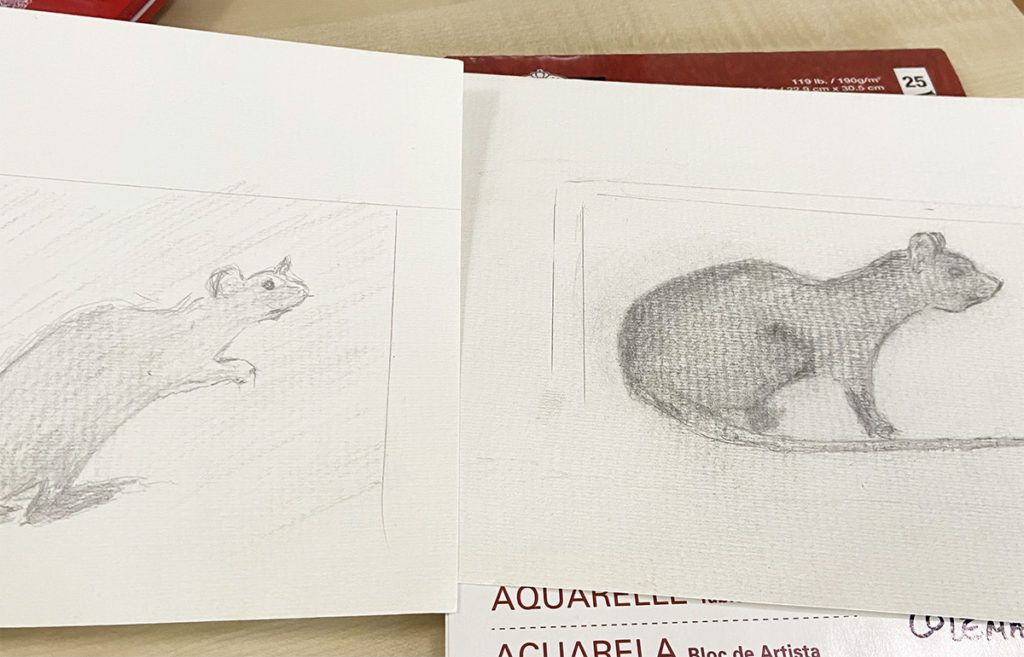 Sketches of rats created by a resident at Meyer House Care Home
