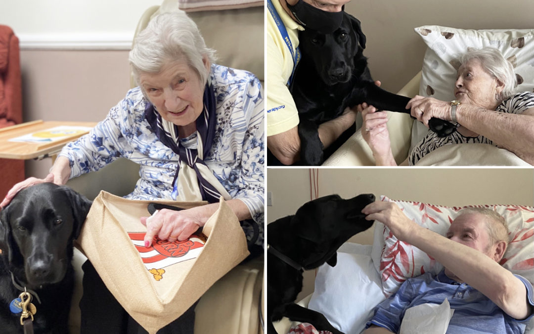 Pet Therapy dog Susie returns to Meyer House Care Home