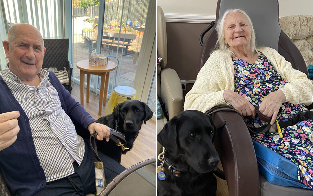 Meyer House Care Home residents love seeing PAT dog Susie