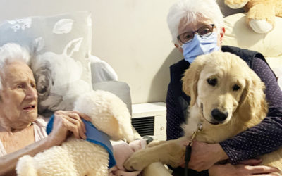 Piper the puppy visits Meyer House Care Home