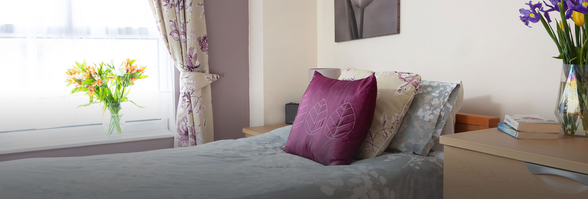 Meyer House Gallery Header