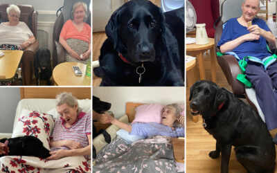 Lots of love for Suzi and Bonzo at Meyer House Care Home