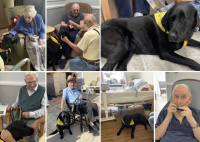 Pet Therapy dog Suzi visiting Meyer House Care Home residents