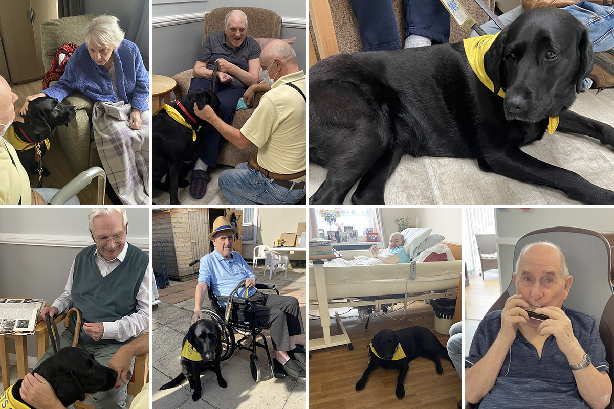 Pet Therapy dog Suzi visits Meyer House Care Home residents