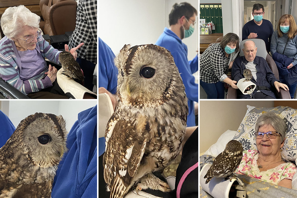 Meyer House Care Home residents enjoying a visit from Jambs Owls
