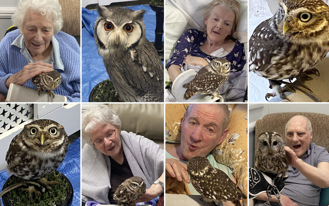 Jambs Owls visit Meyer House Care Home