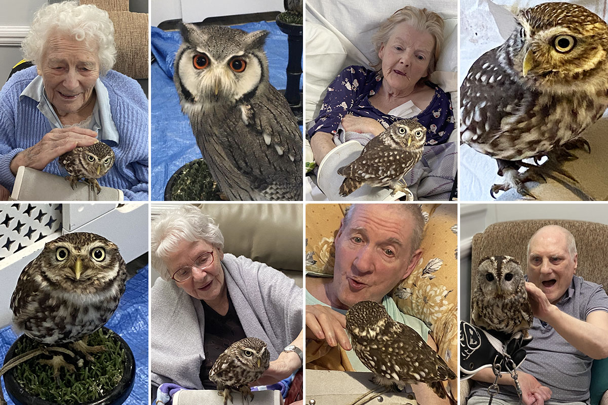 Jambs Owls visit Meyer House Care Home