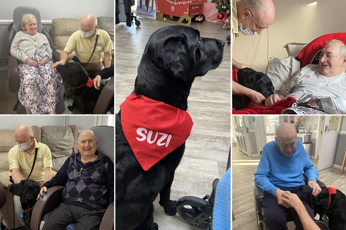Suzi visiting us at Meyer House Care Home