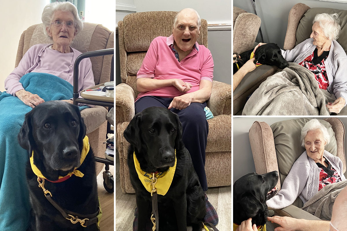 Pet Therapy dog Suzi visits Meyer House Care Home residents
