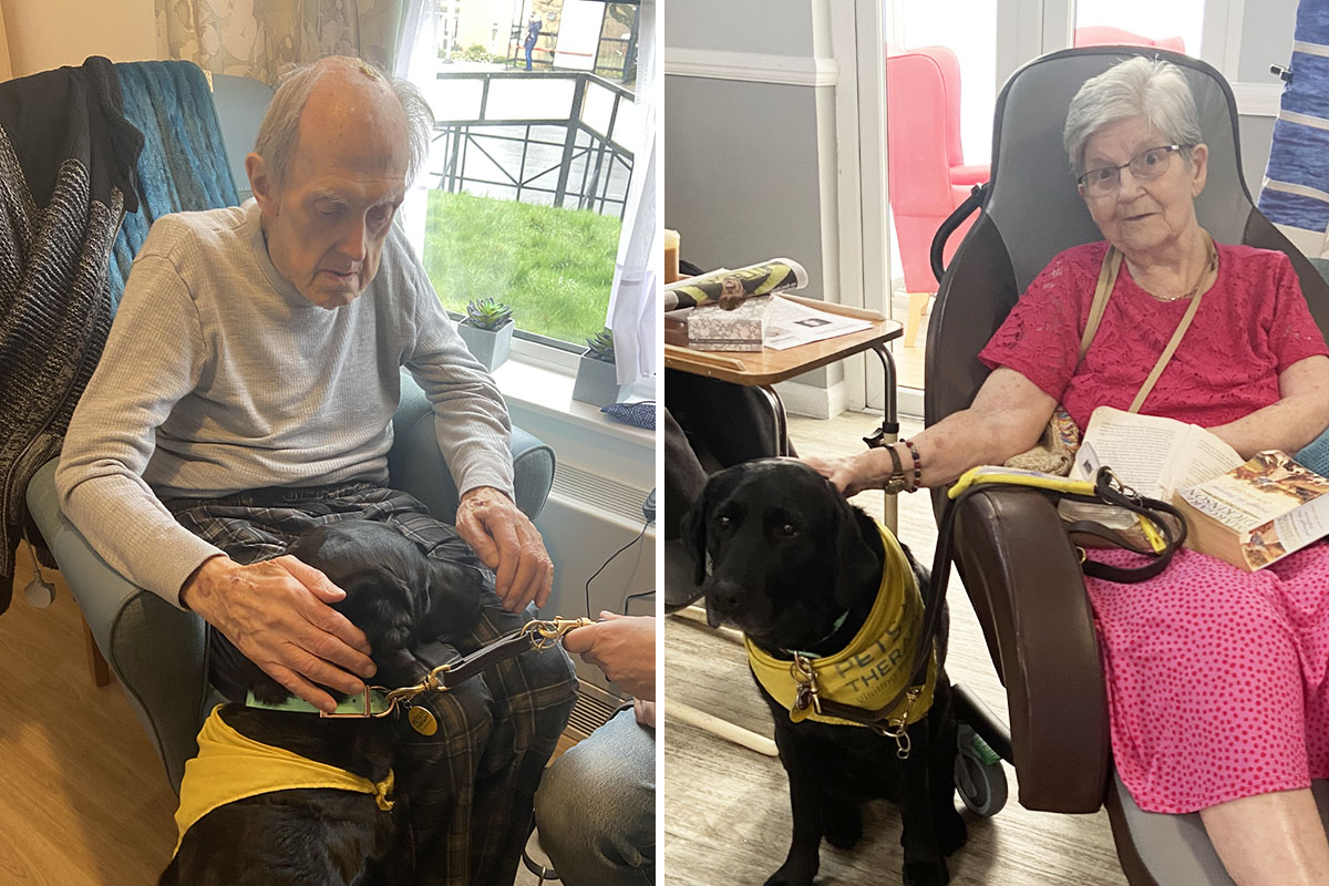 Meyer House Care Home residents with PAT Dog Suzi