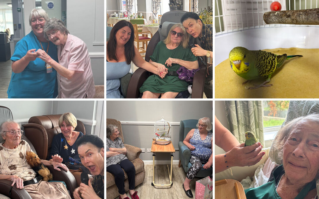 Musical afternoon and a visit from Delilah at Meyer House Care Home