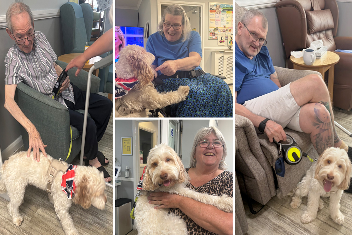 A special visit from Reggie at Meyer House Care Home