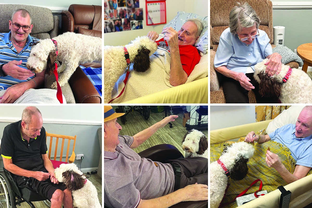 Furry friendship and joy with Betsy at Meyer House Care Home